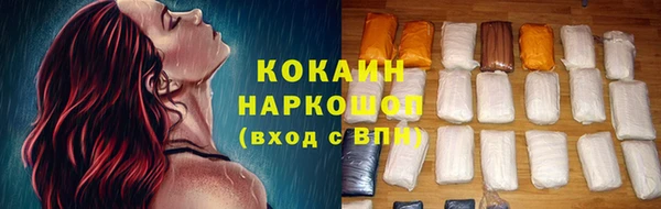 дмт Пересвет