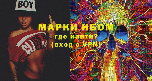 дмт Пересвет