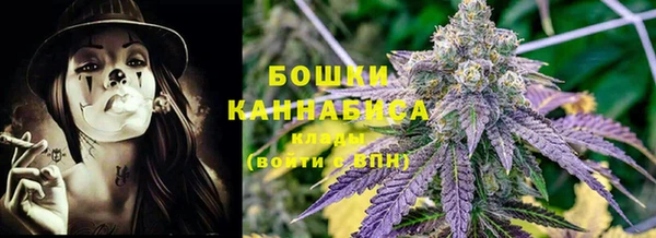 PSILOCYBIN Пестово