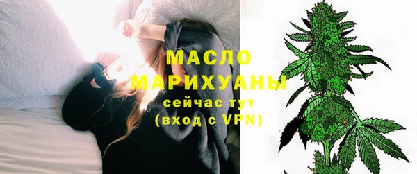 дмт Пересвет