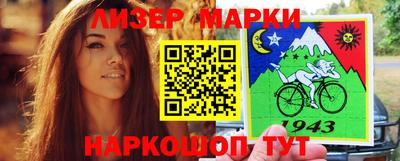 индика Гусев