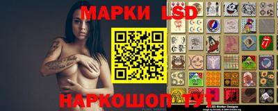 индика Гусев