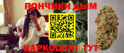 индика Гусев