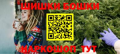 индика Гусев