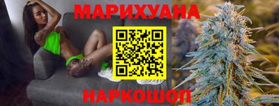 индика Гусев