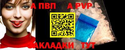 индика Гусев